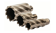 Load image into Gallery viewer, Walter SST™ CORE CUT Weldon Shanks