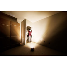 Load image into Gallery viewer, Milwaukee® M18 ROVER™ Flood Light