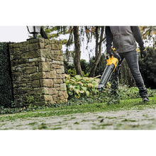 Load image into Gallery viewer, Dewalt 20V MAX* XR® Brushless Cordless Handheld Blower Kit

