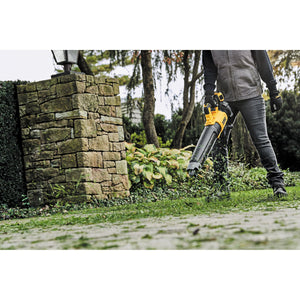Dewalt 20V MAX* XR® Brushless Cordless Handheld Blower Kit